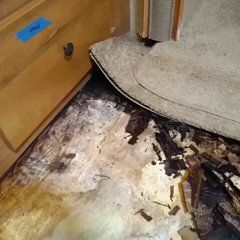 Wood Floor Water Damage in Morgan, UT